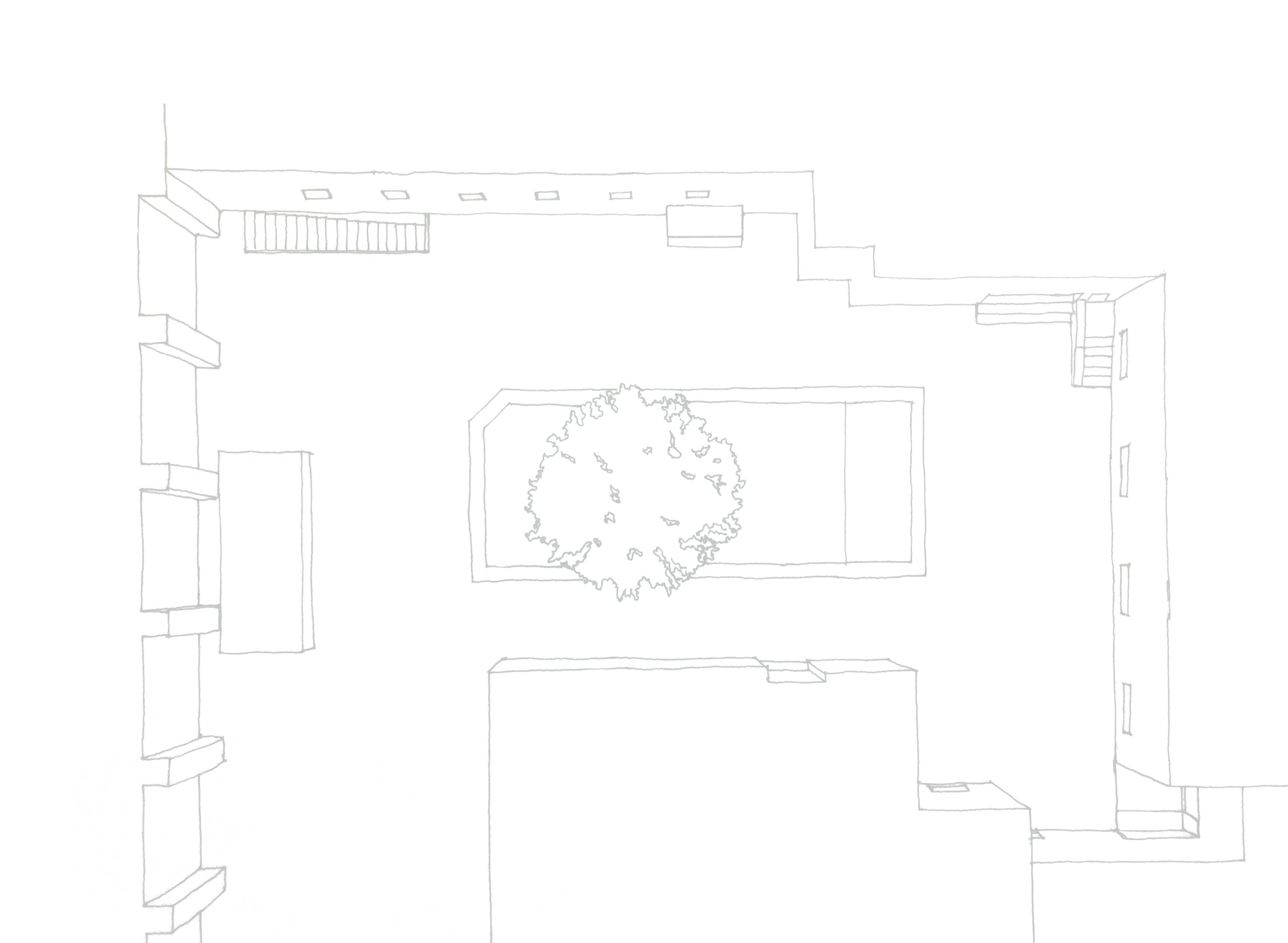 Hand-drawn base plan of the courtyard, the magnolia in its brick planter and the surrounding campus buildings