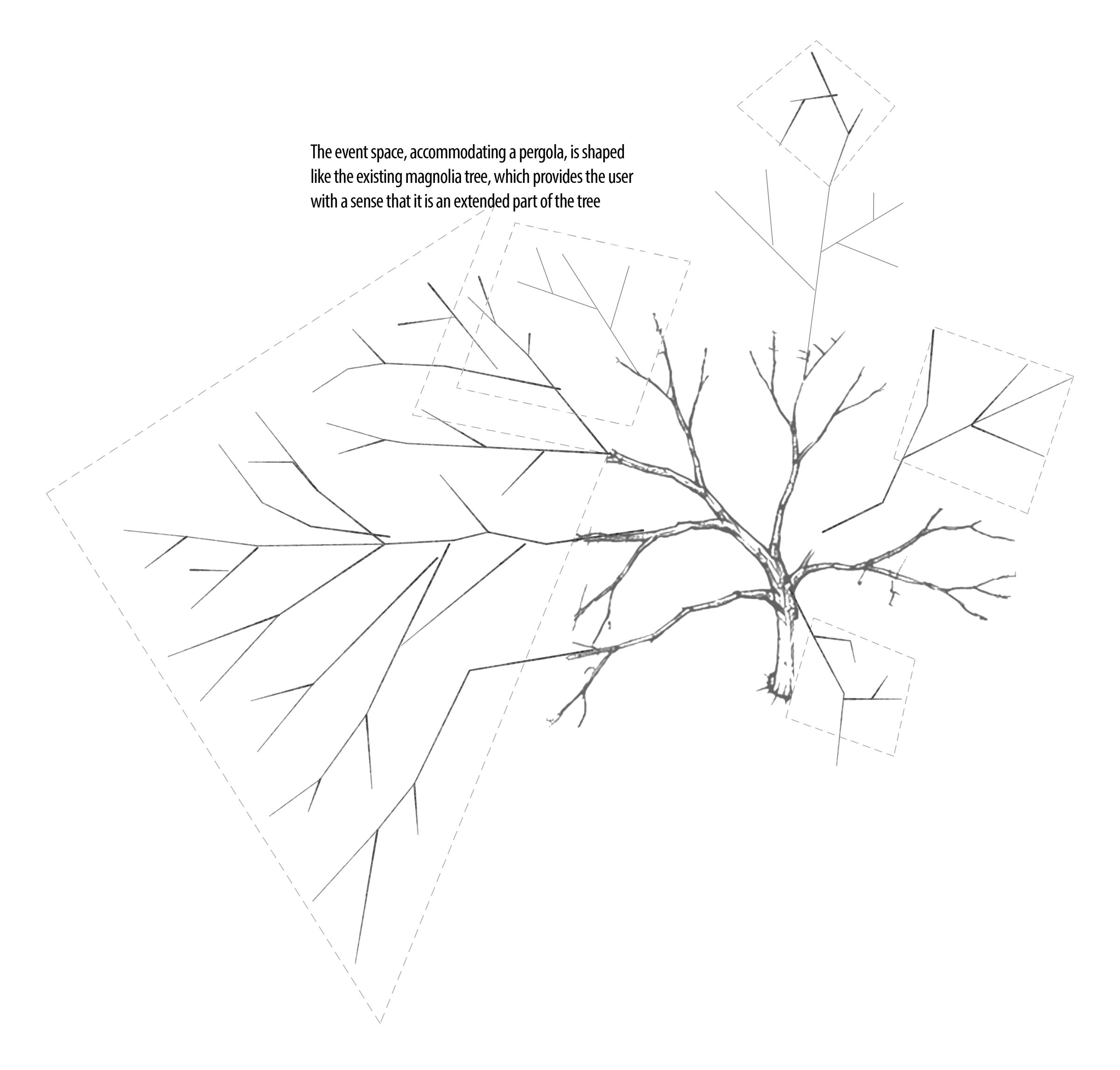The magnolia's branches projected outward: the event space and pergola shaped like the existing tree